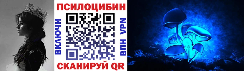купить закладку  Карабаш  Псилоцибиновые грибы прущие грибы 