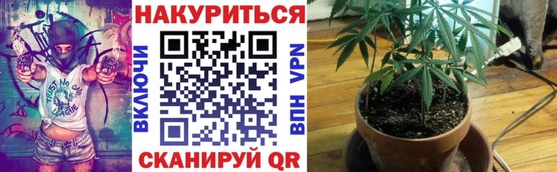 Марихуана планчик  Карабаш 